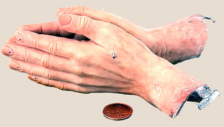 wax modeling of hands in progress