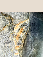 sculpture of knossos