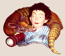 boy with armadillow as pillow
