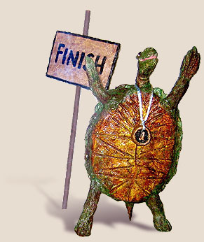 happy tortoise as victor