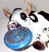 cow with frisbee
