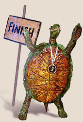 sculpture of tortoise